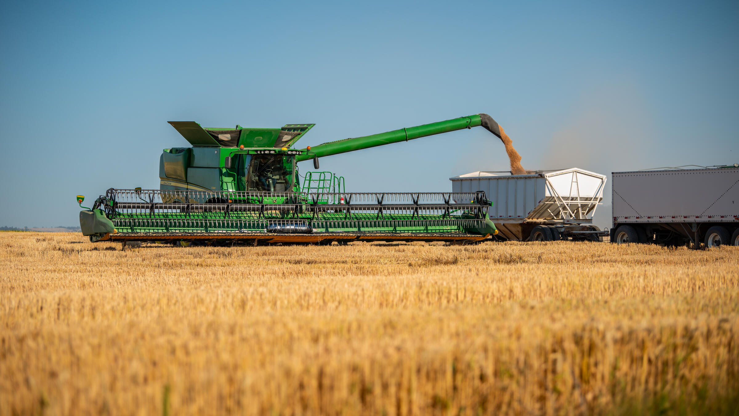 A green combine harvester unloading grain into a waiting truck across a field of ripe wheat.