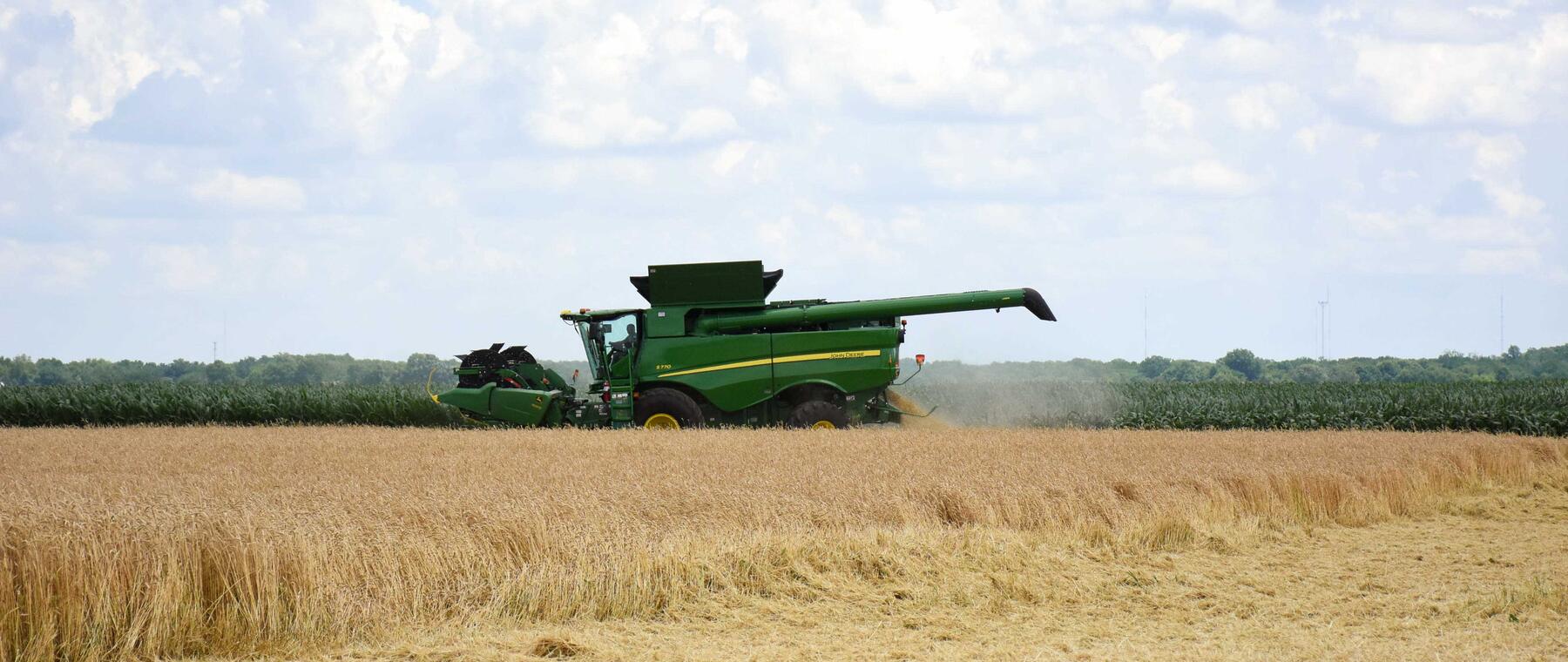 A combine harvester working through standing wheat under a wide summer sky in Indiana.